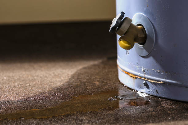 Best Basement water damage restoration  in Wayland, IA