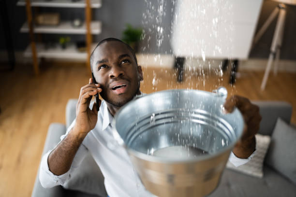  Wayland, IA Water damage restoration Pros