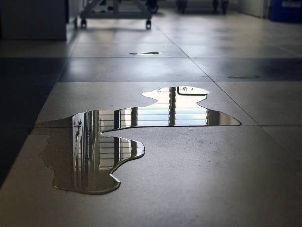 Best Water damage restoration near me  in Wayland, IA