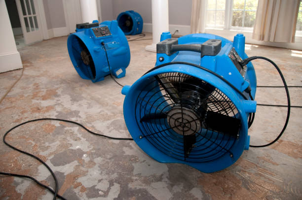 Best Emergency water extraction  in Wayland, IA