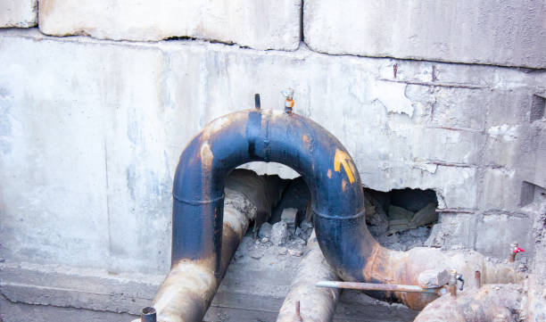 Best 24/7 water damage repair  in Wayland, IA