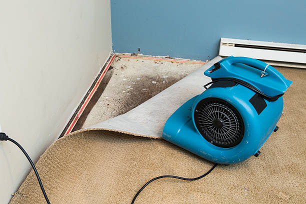 Best Flooded house restoration  in Wayland, IA